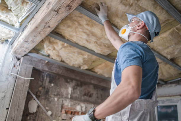 Best Insulation for Specific Applications in Ocoee, FL