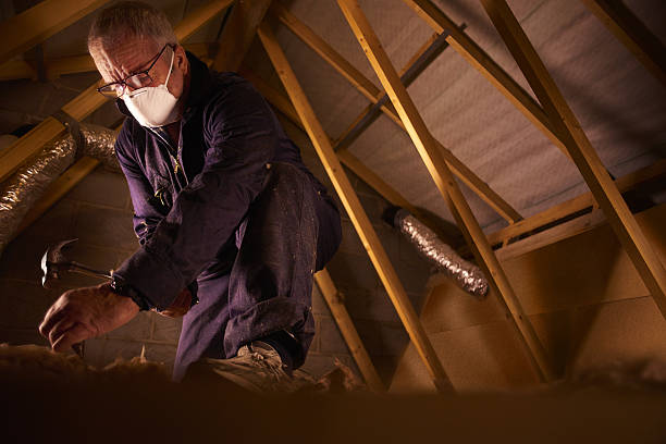Best Insulation Installation Services in Ocoee, FL